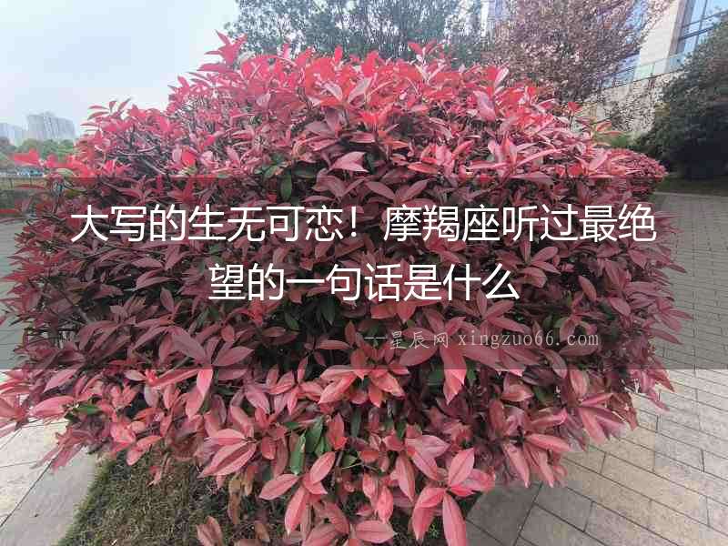 大寫的生無可戀！摩羯座聽過最絕望的一句話是什么
