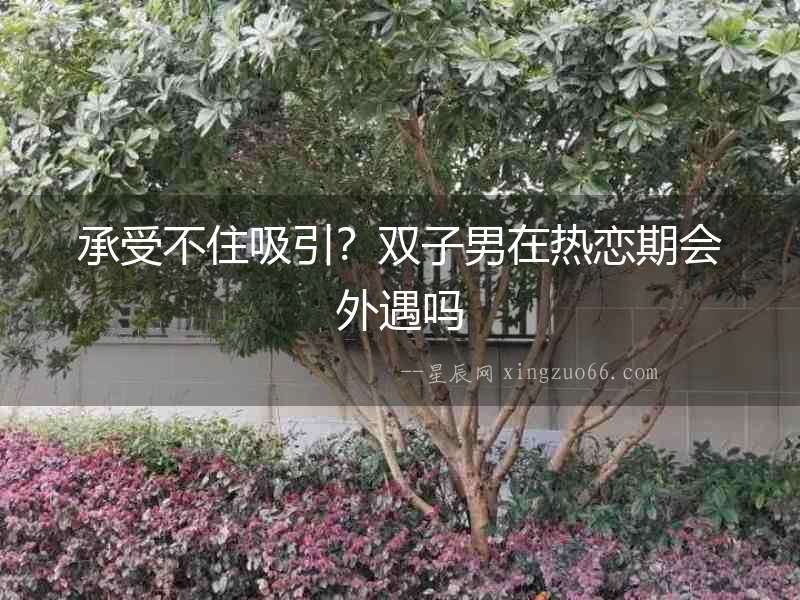 承受不住吸引？雙子男在熱戀期會外遇嗎
