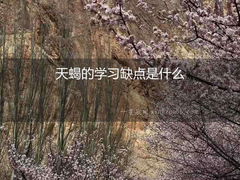 天蝎的學習缺點是什么