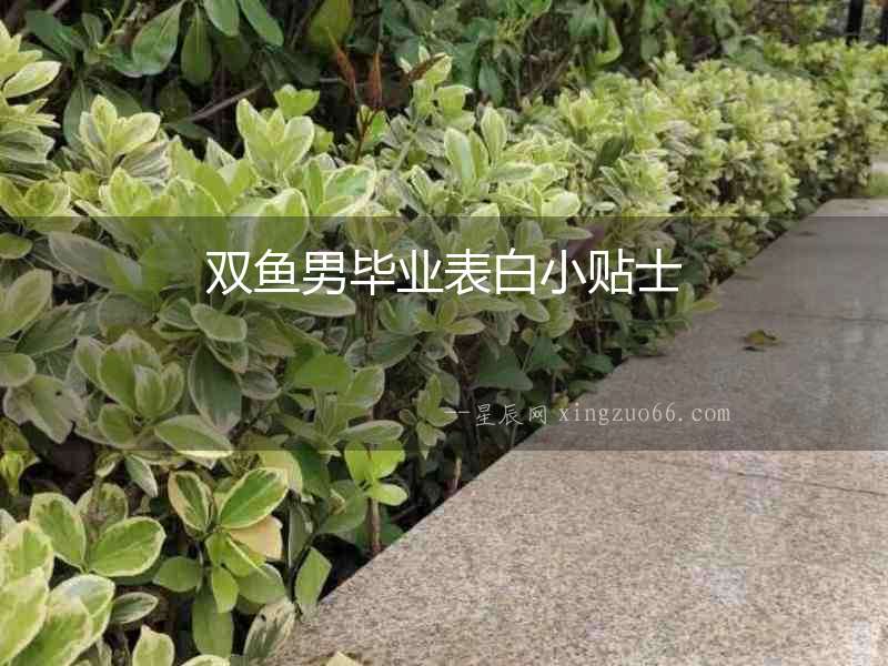 雙魚男畢業表白小貼士