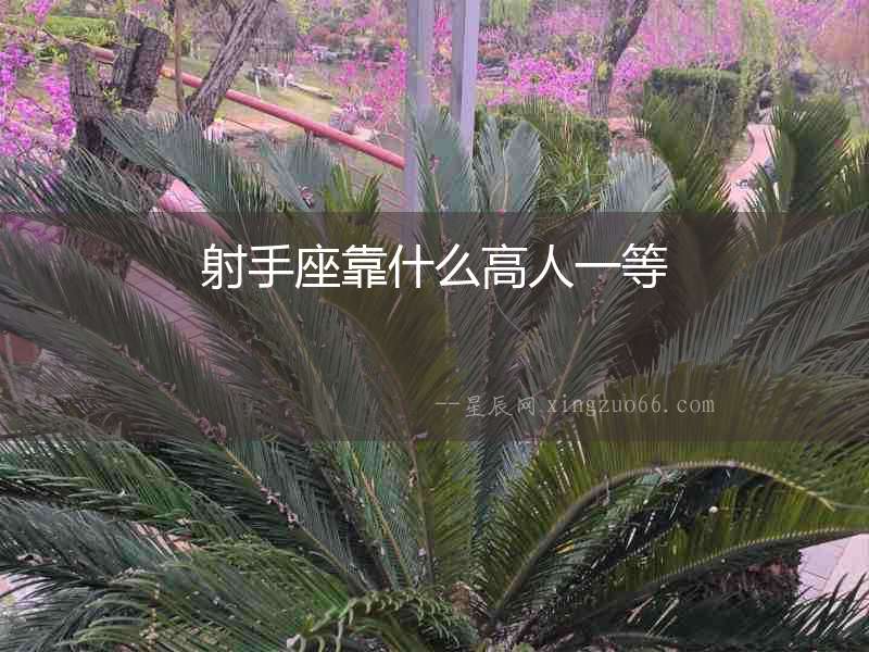 射手座靠什么高人一等