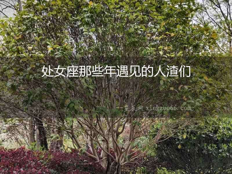 處女座那些年遇見的人渣們