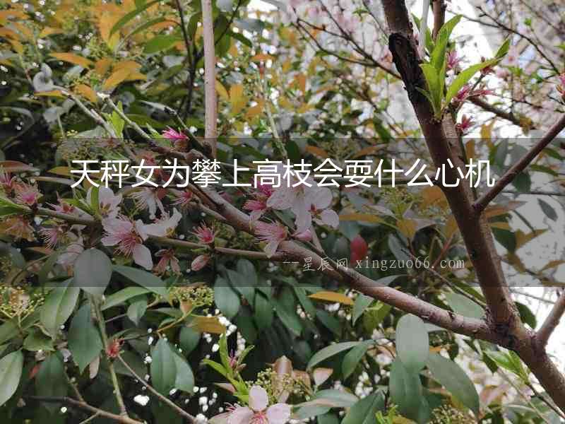 天秤女為攀上高枝會耍什么心機