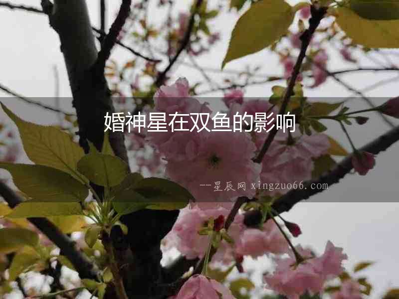 婚神星在雙魚的影響