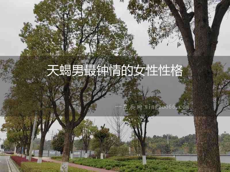 天蝎男最鐘情的女性性格