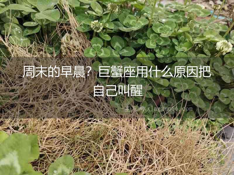 周末的早晨？巨蟹座用什么原因把自己叫醒