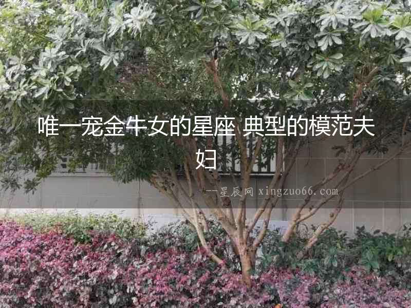 唯一寵金牛女的星座 典型的模范夫婦