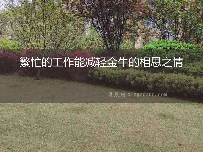 繁忙的工作能減輕金牛的相思之情