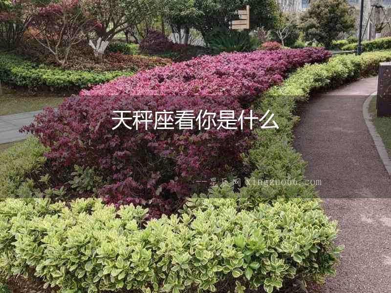天秤座看你是什么