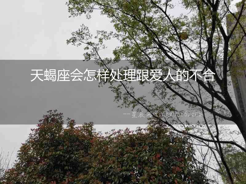 天蝎座會怎樣處理跟愛人的不合