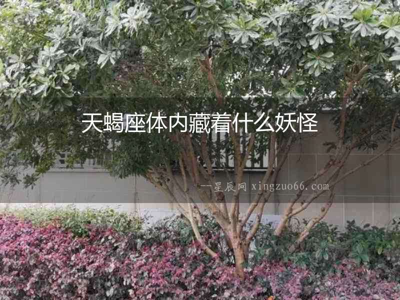 天蝎座體內(nèi)藏著什么妖怪