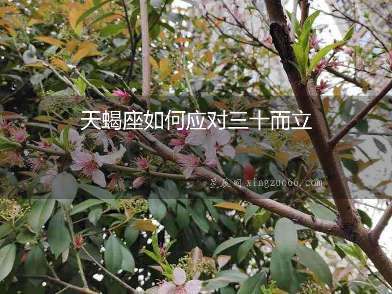 天蝎座如何應(yīng)對三十而立