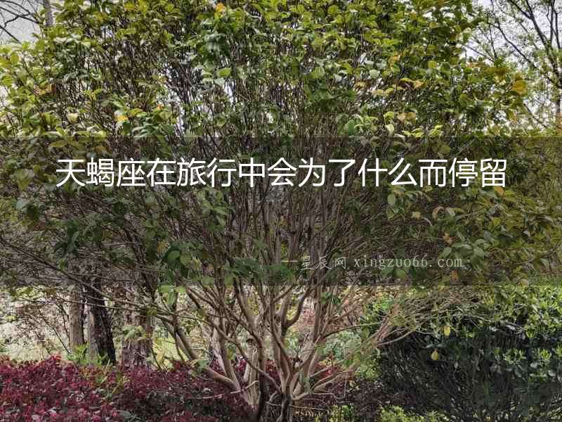 天蝎座在旅行中會為了什么而停留
