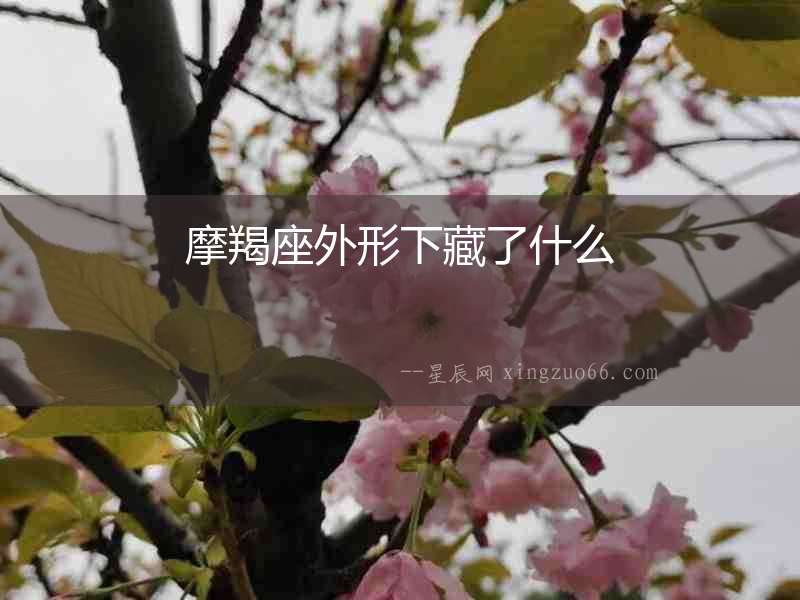 摩羯座外形下藏了什么
