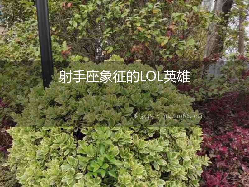 射手座象征的LOL英雄