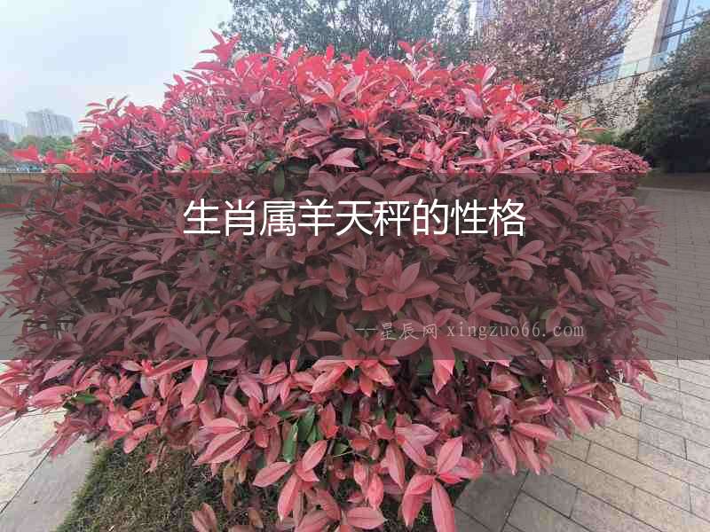 生肖屬羊天秤的性格