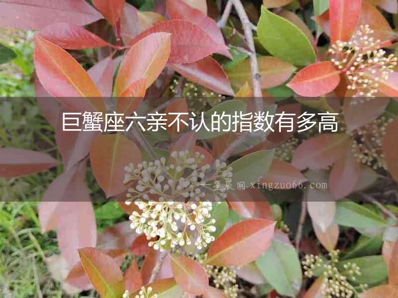 巨蟹座六親不認的指數有多高