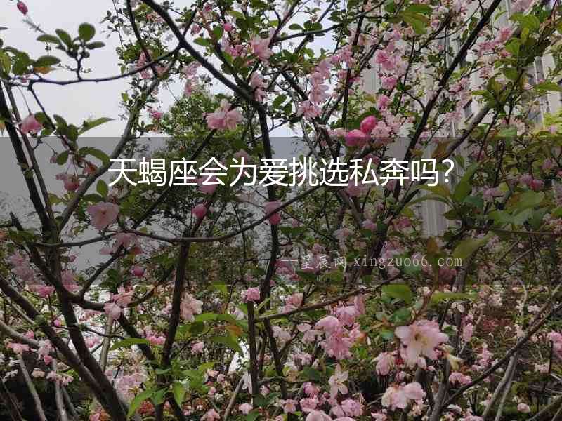 天蝎座會為愛挑選私奔嗎？