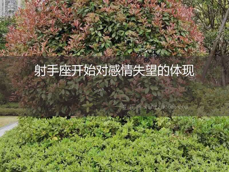 射手座開(kāi)始對(duì)感情失望的體現(xiàn)