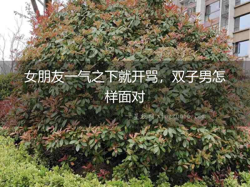 女朋友一氣之下就開罵，雙子男怎樣面對