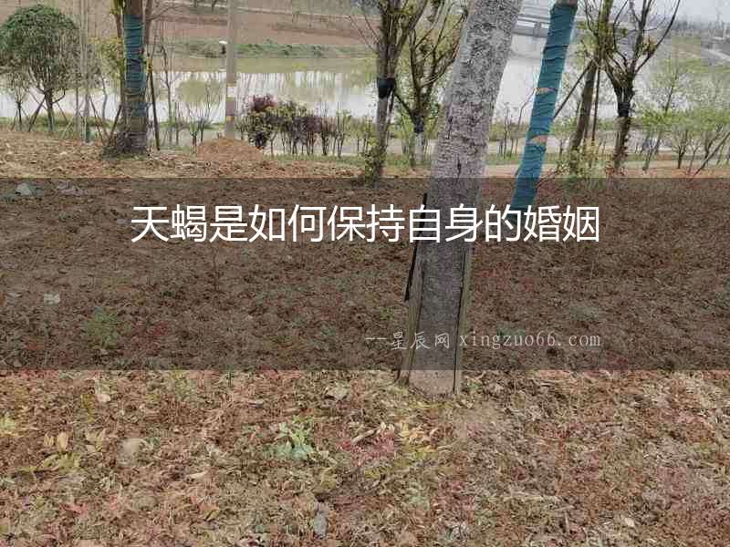 天蝎是如何保持自身的婚姻