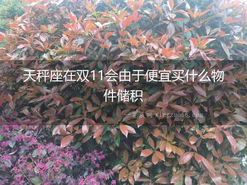 天秤座在雙11會由于便宜買什么物件儲積