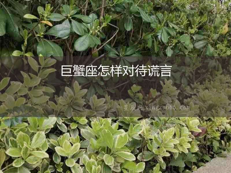 巨蟹座怎樣對待謊言