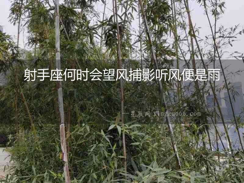 射手座何時會望風捕影聽風便是雨