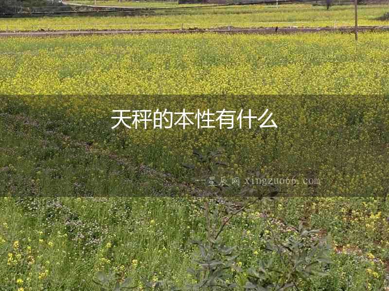 天秤的本性有什么