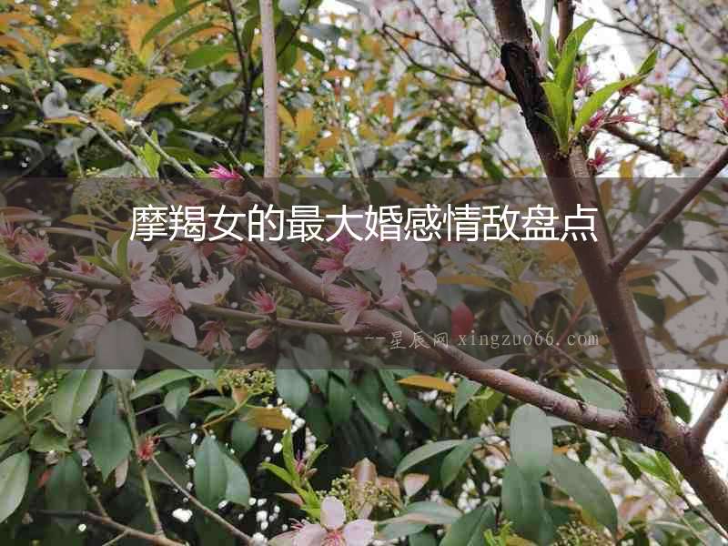 摩羯女的最大婚感情敵盤點