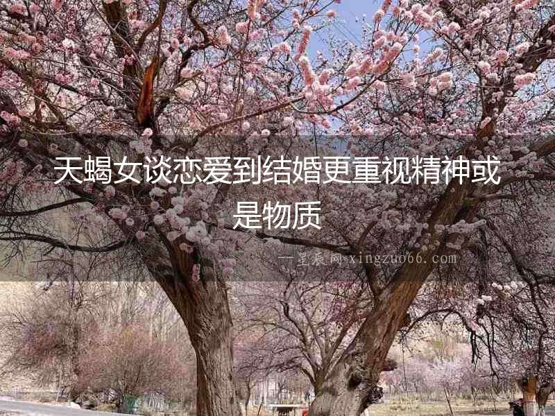 天蝎女談戀愛到結婚更重視精神或是物質