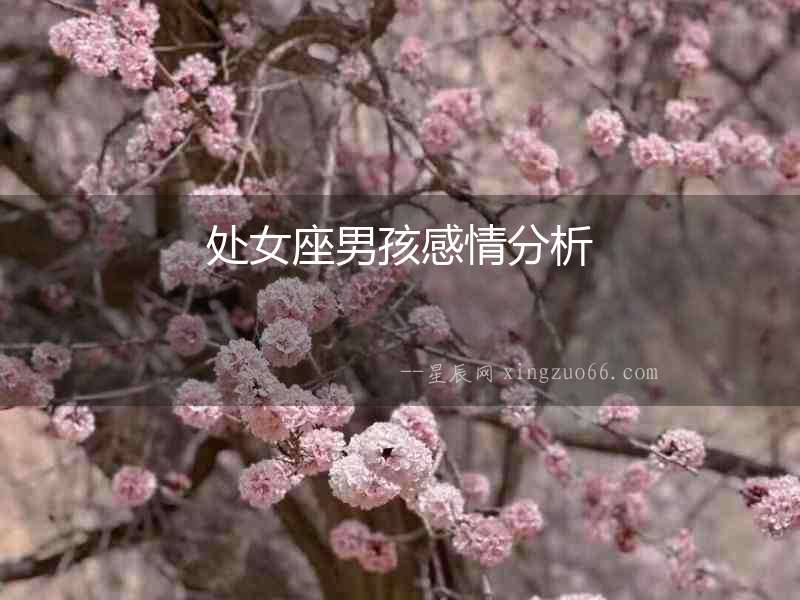 處女座男孩感情分析