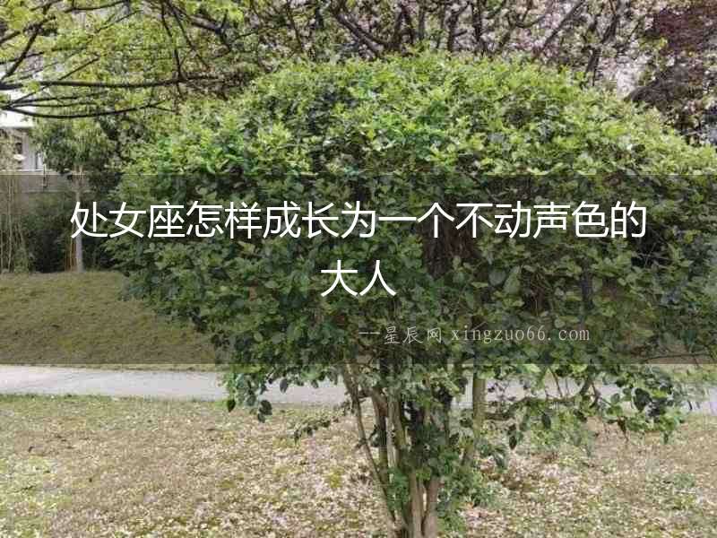 處女座怎樣成長為一個不動聲色的大人