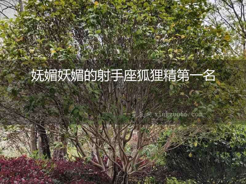 嫵媚妖媚的射手座狐貍精第一名