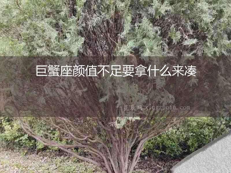 巨蟹座顏值不足要拿什么來(lái)湊