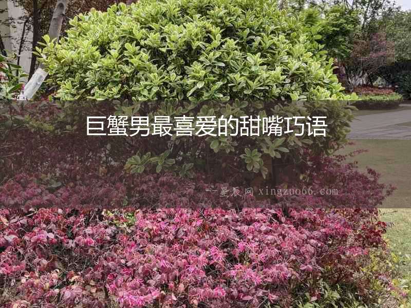 巨蟹男最喜愛(ài)的甜嘴巧語(yǔ)