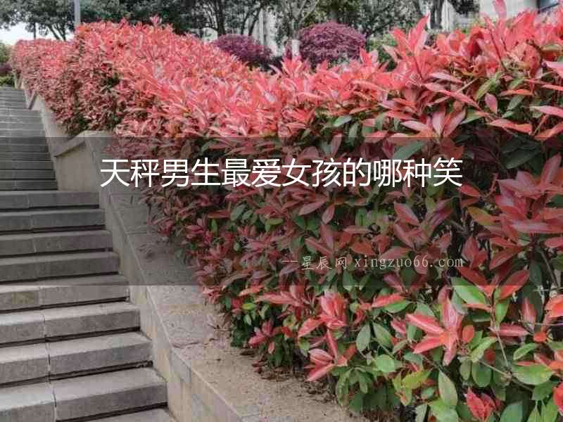 天秤男生最愛女孩的哪種笑