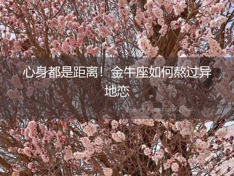 心身都是距離！金牛座如何熬過異地戀