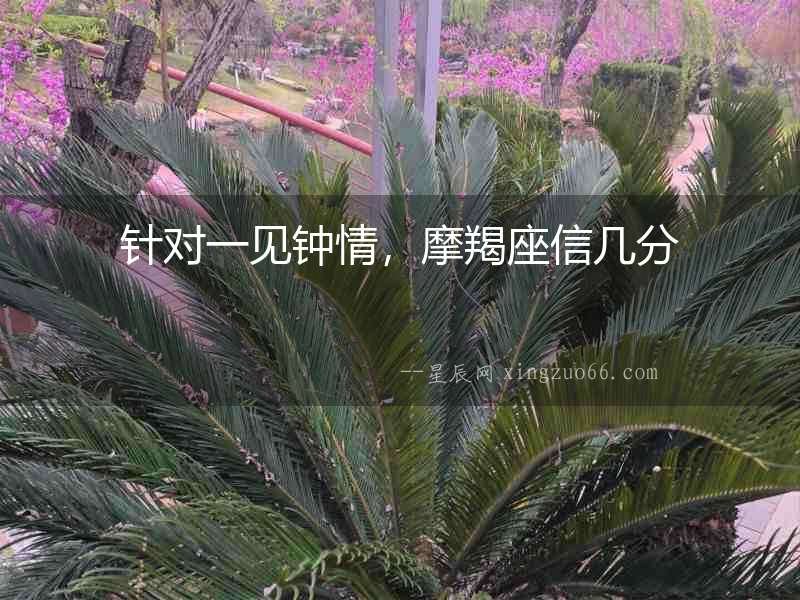 針對一見鐘情，摩羯座信幾分