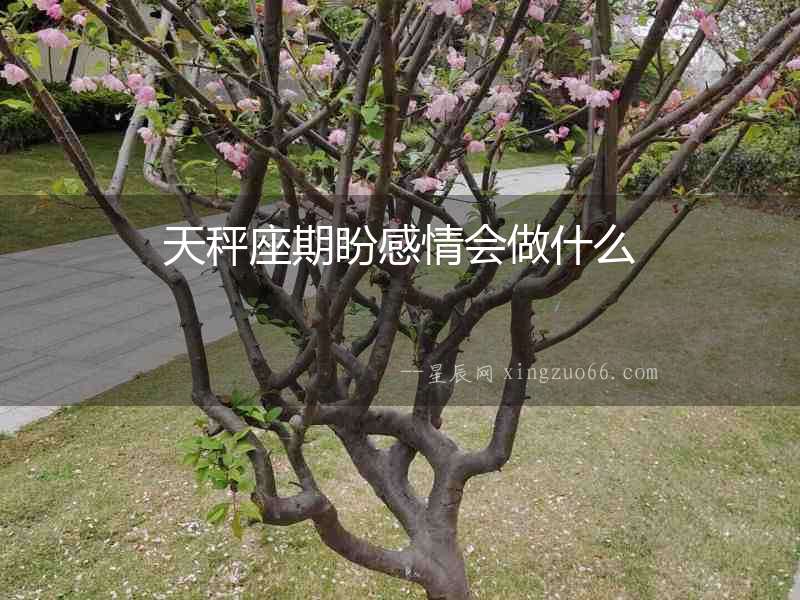 天秤座期盼感情會做什么