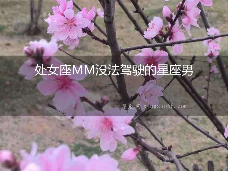 處女座MM沒法駕駛的星座男