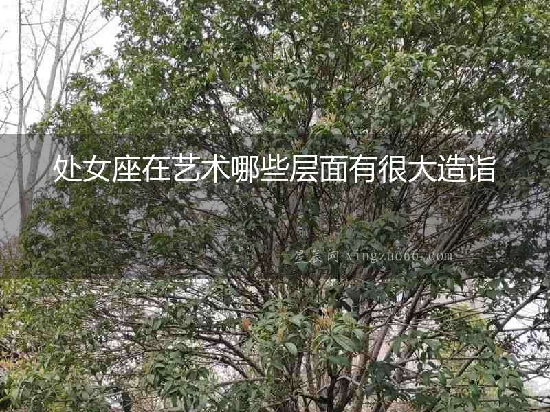 處女座在藝術(shù)哪些層面有很大造詣