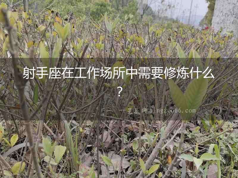 射手座在工作場所中需要修煉什么？