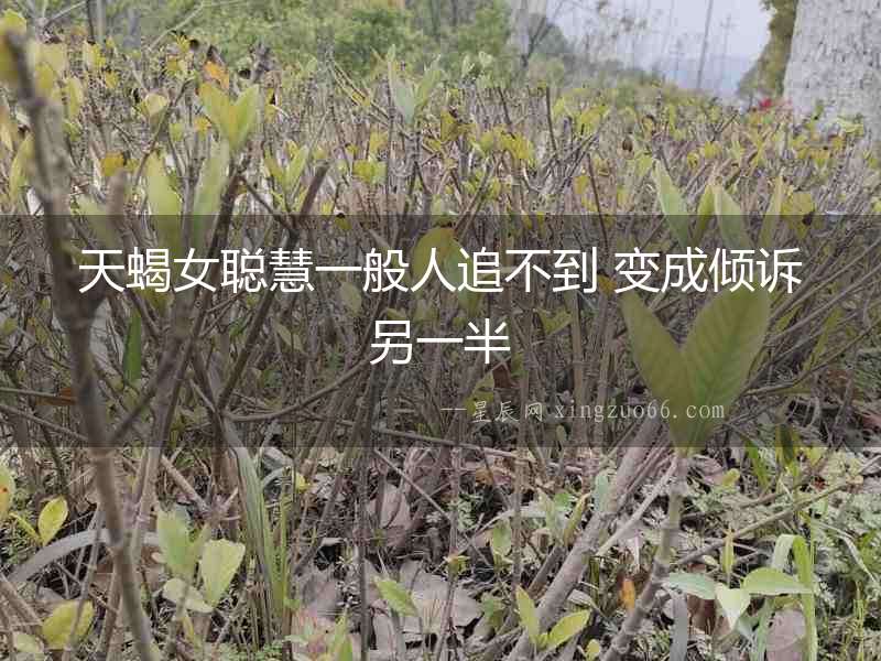 天蝎女聰慧一般人追不到 變成傾訴另一半