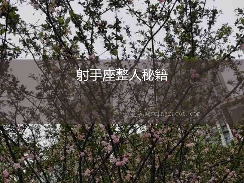 射手座整人秘籍