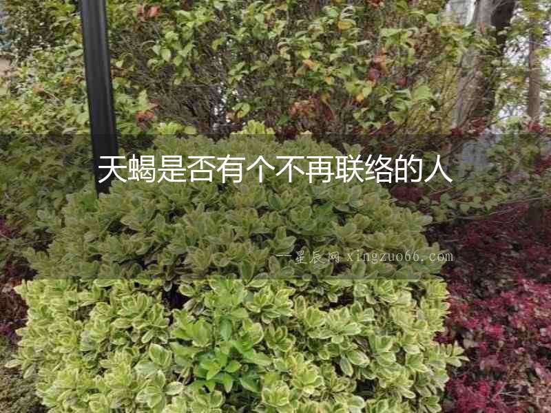 天蝎是否有個不再聯絡的人