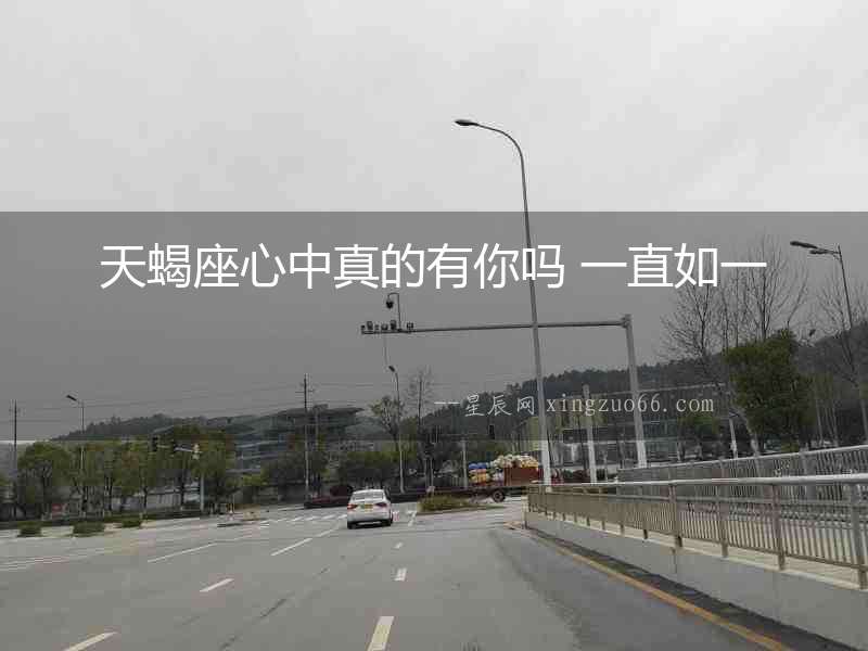 天蝎座心中真的有你嗎 一直如一