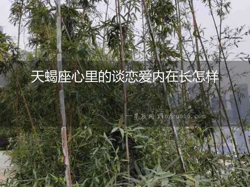 天蝎座心里的談戀愛內在長怎樣