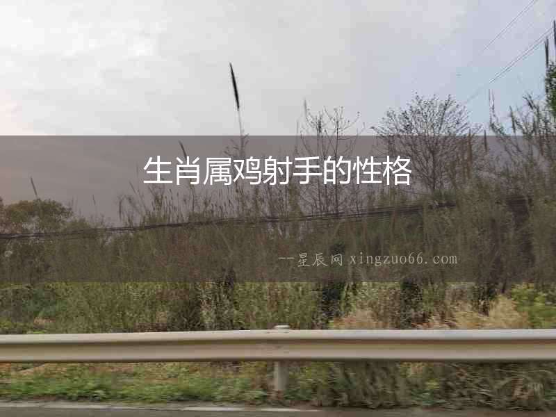 生肖屬雞射手的性格