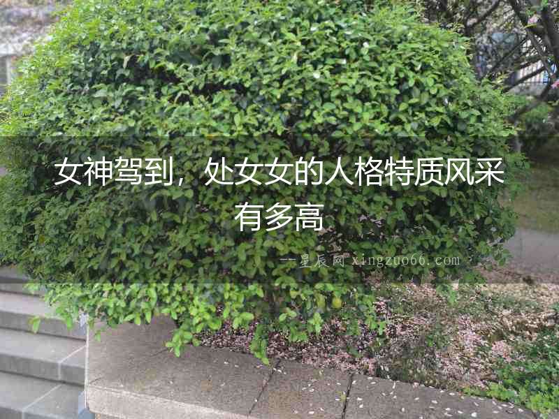 女神駕到，處女女的人格特質(zhì)風(fēng)采有多高